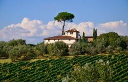 Montalcino, chiesta la calamità naturale