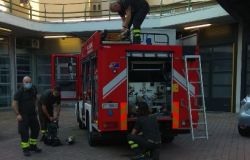 Salvato gatto in bilico su una trave a 6 metri