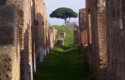 X Municipio, le associazioni culturali scrivono a Franceschini