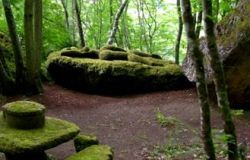 Riapre Opera Bosco, il Museo di arte nella natura