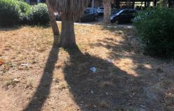 Roma-Lido, la stazione Lido Centro nel degrado