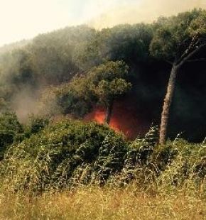 Roma, roghi sull'Appia ed a Fiumicino a Piana del Sole, allarme incendi con le temperature record