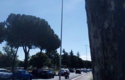 Ostia, lampioni accesi...di giorno
