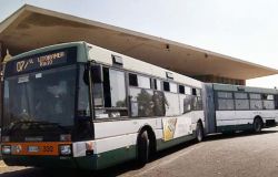 A Capocotta e Castelporziano....si andrà solo in macchina o moto