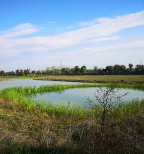 Madonnetta, via libera al progetto della Cassa di Espansione del canale Palocco