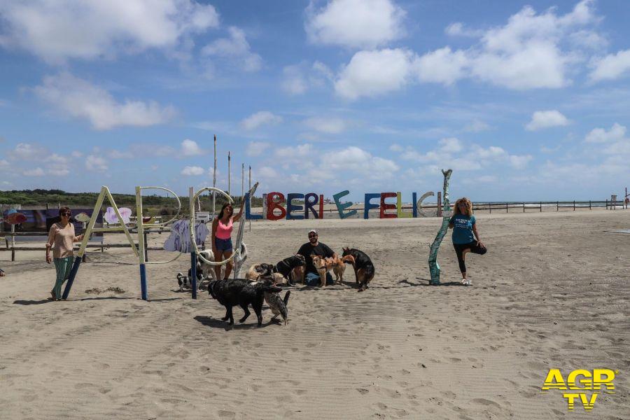 Maccarese, Bau Bau beach inaugura oggi la stagione Maccarese, Bau Bau beach inaugura oggi la stagione