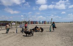 Maccarese, Bau Bau beach inaugura oggi la stagione