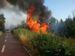 un incendio a Castelfusano