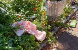 Ostia, il degrado dei giardini, questa è piazza Repubbliche Marinare