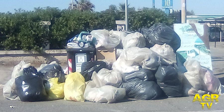 i rifiuti degli stabilimenti raccolti la mattina i rifiuti degli stabilimenti raccolti la mattina