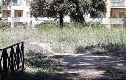 VI Municipio, la nona città d'Italia....senza Isola ecologica