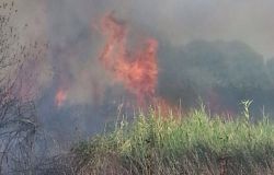 IX Municipio, il fuoco brucia le sterpaglie e fa...manutenzione