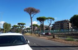 Ostia, partono i lavori sulla via Ostiense, disagi fino al 7 agosto