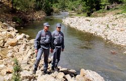Carabinieri Forestali, stop al taglio abusivo delle alberature