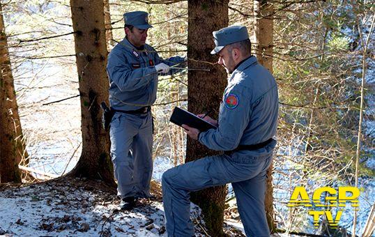 I Carabinieri forestali custodi della Biodiversità italiana, in mostra al palazzo dell'ONU