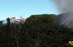 Incendio Sterpaglie tra via Ottone Fattiboni e Via Alessandro Ruspoli
