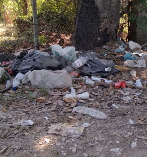 X Municipio, prosegue la rimozione dei rifiuti X Municipio, prosegue la rimozione dei rifiuti