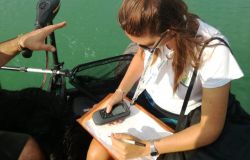 analisi microplastiche