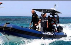 Maxi operazione antidroga, sequestrati 400 kg. di cocaina nel porto di La Spezia