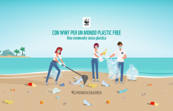 WWF, mobilitazione per la puliza delle spiagge di Focene ed Ostia
