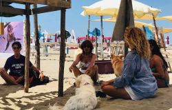 Maccarese, al Baubeach un'estate all’insegna della Tutela Ambientale ed Etologica