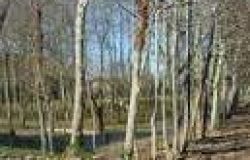 ROCCA PRIORA - IL PARCO DEI CASTELLI ROMANI PER L'EMERGENZA RIFIUTI
