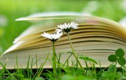 Ostia, finalmente..... la Festa del libro, con tanti libri per tutti