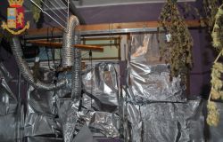 Anzio, centrale di spaccio, produceva marjuana, in manette pusher di 23 anni