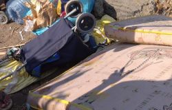 Ostia ponente, i cittadini scoprono decine di accampamenti abusivi nei canneti....raccolta firme dopo ferragosto
