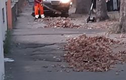 Municipio X, IEVA: “Polemiche sterili. Serviva un confronto con AMA e c’è stato”