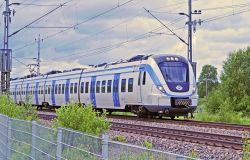 Caccia ai ladri dell'oro rosso in tutta la regione