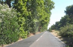 Tra Ostia ed Ostia Antica, via Ostiense.... ad alto rischio