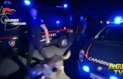 Crotone, duro colpo all'ndrangheta del Crotonese, scattano le manette per 43 indagati, la cui posizione è al vaglio degli inquirenti