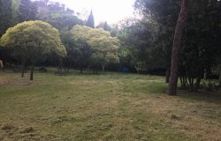 Roma Monte Mario, parco Monte Ciocci, dopo dieci anni affidata la gestione del Chiosco