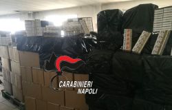 Carabinieri, maxi sequestro di bionde