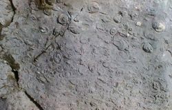 Nel Lazio la Settimana del pianeta Terra