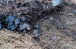 Fucecchio-FI-. Lotta allo spaccio: prosegue la pulizia del sottobosco per rendere la vita più difficile ai pusher
