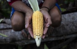 Il WWF Italia dà il via alla ‘Food Week’ lanciando #Menu4Planet, con informazioni e soluzioni per i consumatori