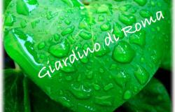 Giardini di Roma, sabato assemblea pubblica per promuovere lo sviluppo