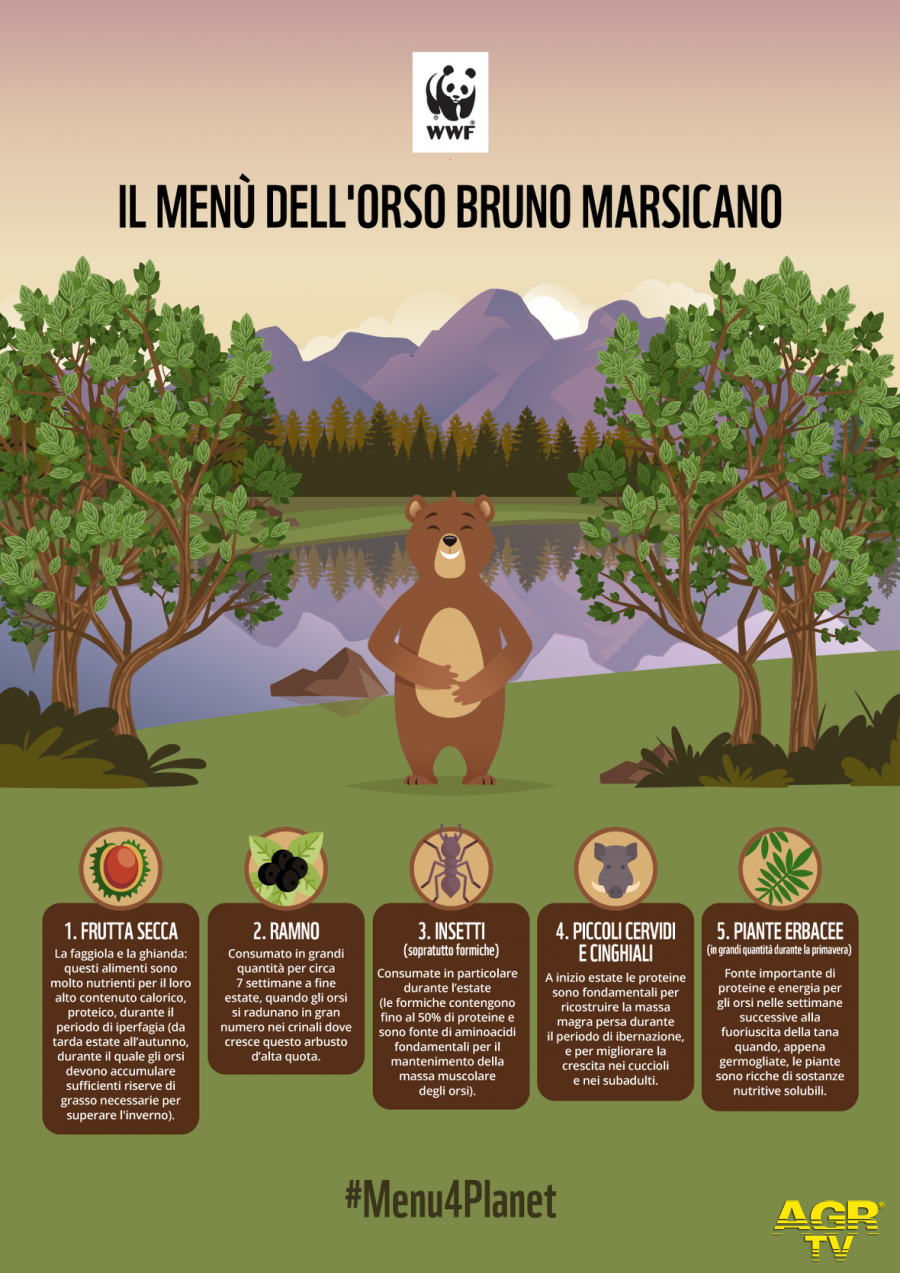 WWF, uomini ed orsi, una convivenza che inizia dal menu