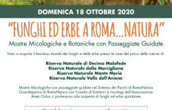 Alla scoperta di funghi ed erbe a Roma Natura