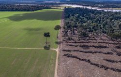 WWF, scegliamo le diete amiche della natura per fermare la perdita di biodiversità