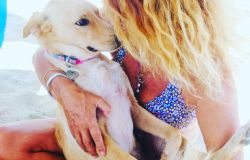 Il Pet Caretaker  formato da Baubeach, al via i corsi di Baucoach