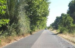Sfalcio della via Ostiense? Sinistra Italiana accellera: pronto un esposto in Procura