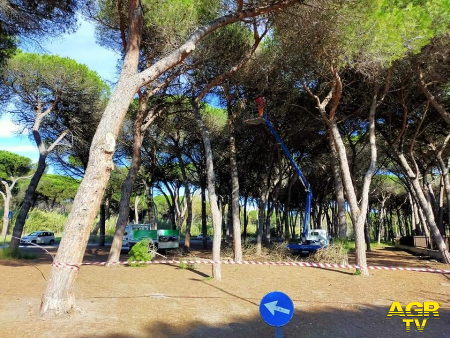 Ostia, alla pineta delle acque rosse nessun campo nomadi....è solo una fake news