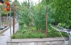 Maxi-operazione antidroga a Roma, 12 gli arrestati e 8 chili e mezzo di stupefacente sequestrato