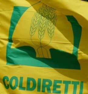 (AGR) Roma, Campagna amica per la salute, al Policlinico Gemelli il primo mercato contadino (AGR) Roma, Campagna amica per la salute, al Policlinico Gemelli il primo mercato contadino