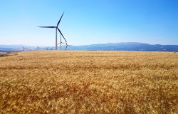 No a nuove centrali a gas a Civitavecchia, gli ambientalisti: parco eolico a Viterbo