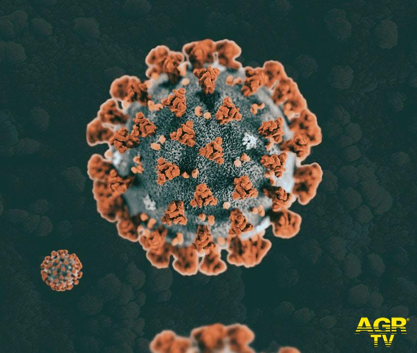 Coronavirus: 1.323 nuovi casi, età media 48 anni, 48 decessi