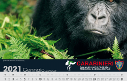 Carabinieri Cities, il calendario 2021 racconta il loro impegno a difesa e protezione degli animali